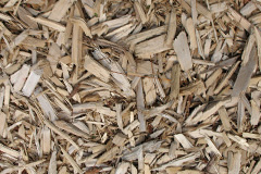 biomass boilers Deerhurst
